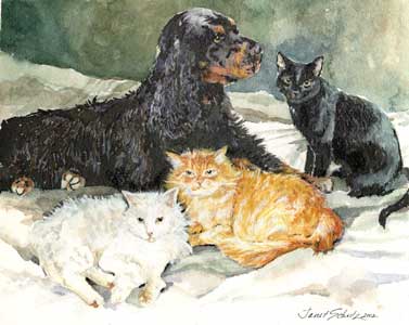 dogs and cats