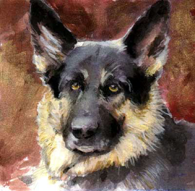 german shepherd